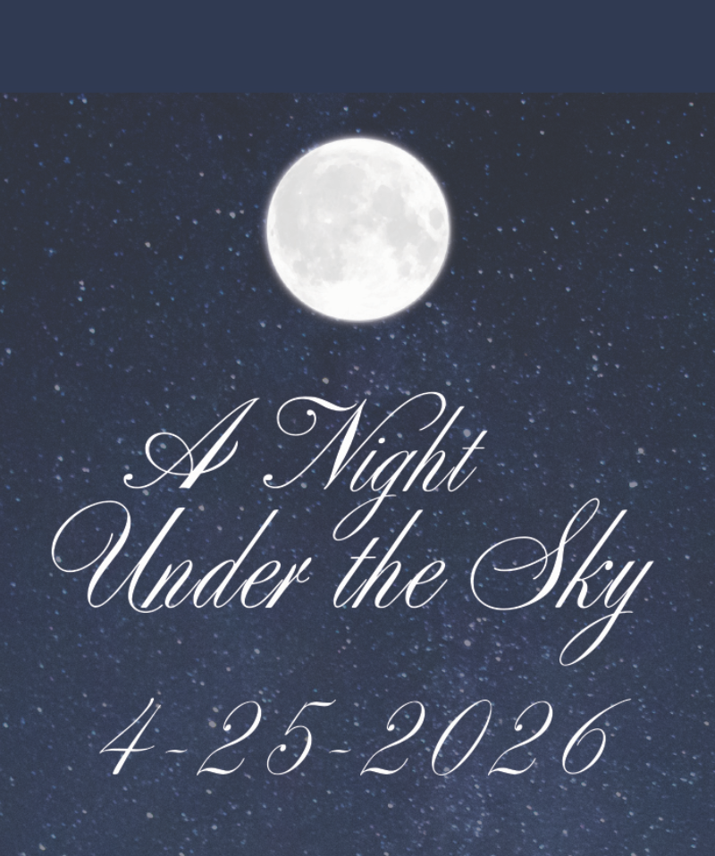 Coated in Love Night Sky Gala